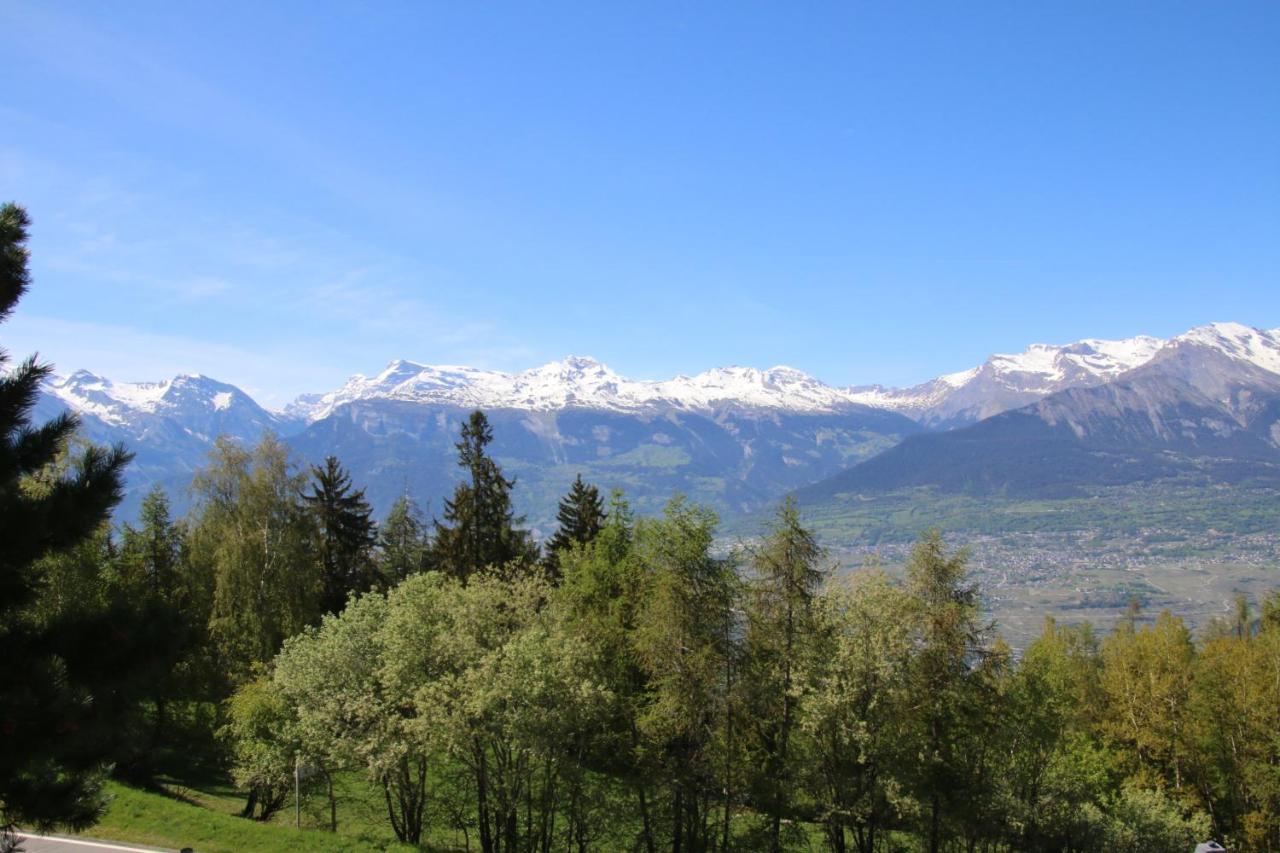 Mayens De L'Ours Mountain & Center Apartments By Alpvision Residences Agettes Экстерьер фото